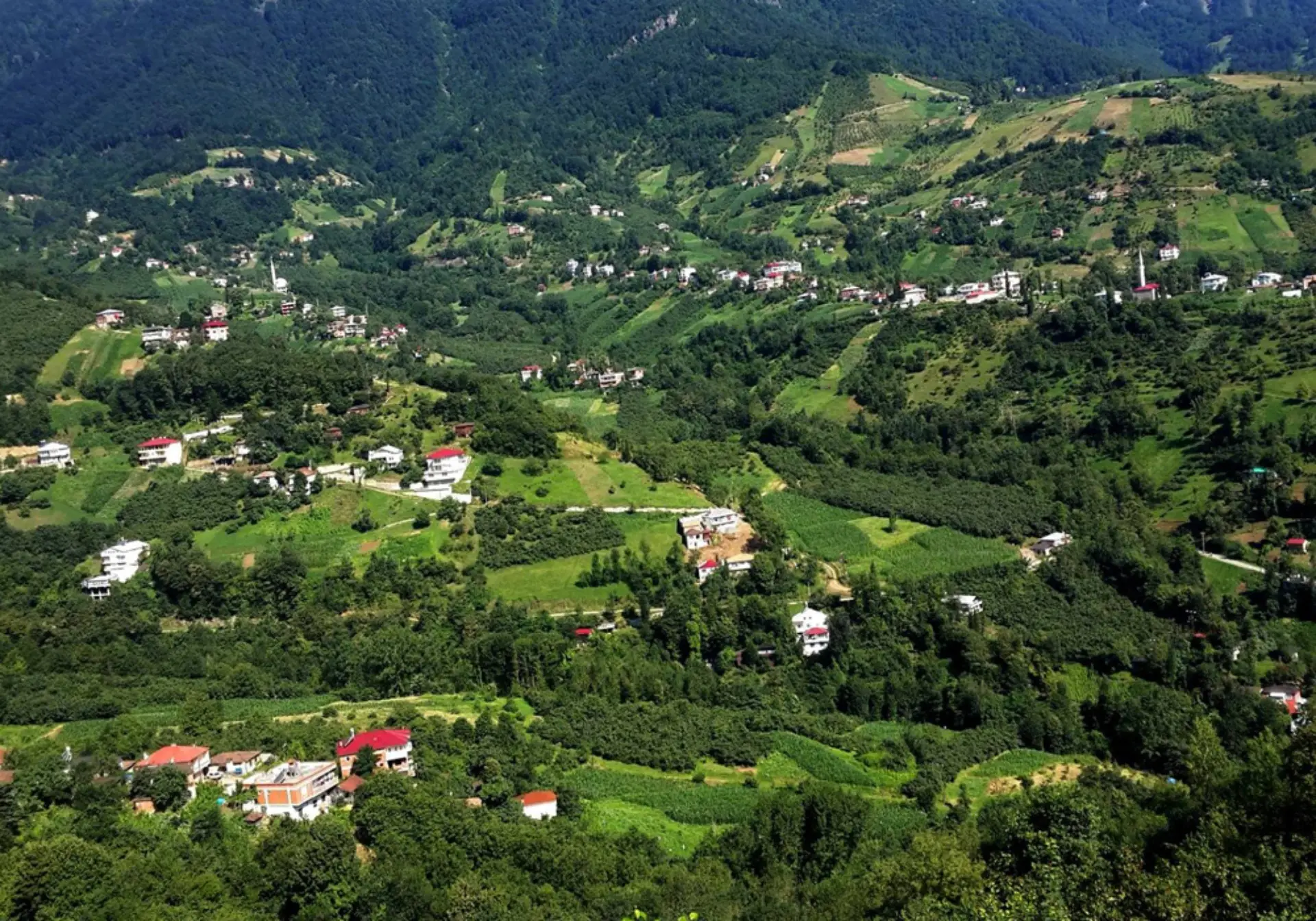 Denizli'den Ne Alınır?