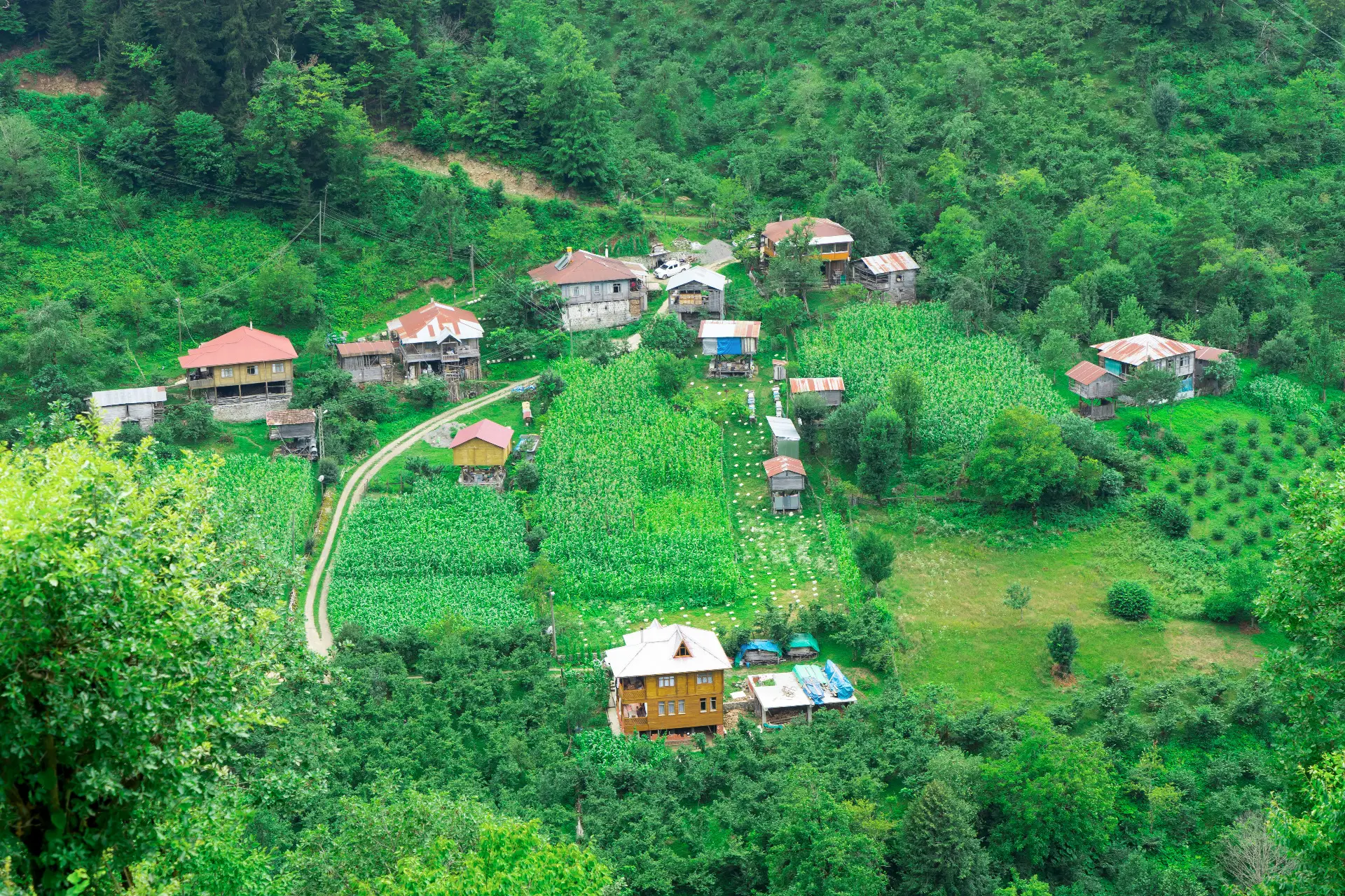 Doğu Karadeniz Gezilecek Yerler Rehberi: Artvin, Rize, Trabzon ve Giresun