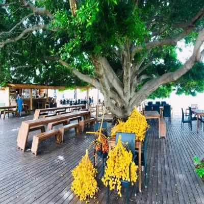 Marvel Tree Hotel Anamur
