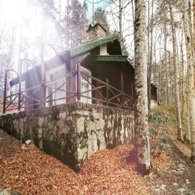 Habitat Mesire Bungalov Evleri Yedigöller