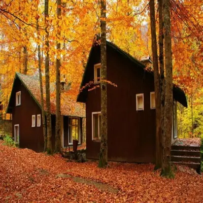 Habitat Mesire Bungalov Evleri Yedigöller