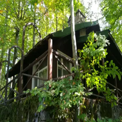 Habitat Mesire Bungalov Evleri Yedigöller