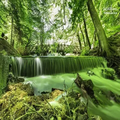 Habitat Mesire Bungalov Evleri Yedigöller