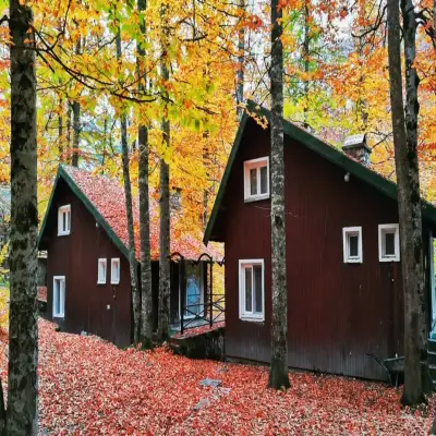 Habitat Mesire Bungalov Evleri Yedigöller