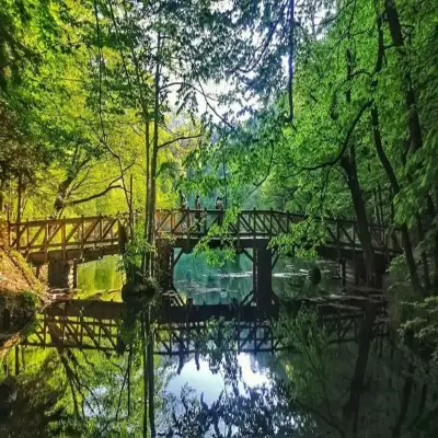 Habitat Mesire Bungalov Evleri Yedigöller