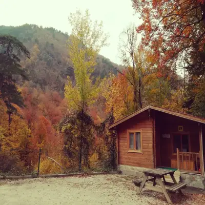 Habitat Mesire Bungalov Evleri Yedigöller