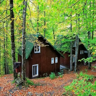 Habitat Mesire Bungalov Evleri Yedigöller