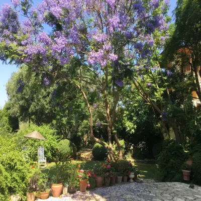 Emel Hotel, Güzelçamlı