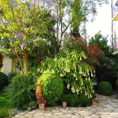 Emel Hotel, Güzelçamlı