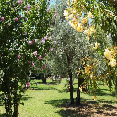 Emel Hotel, Güzelçamlı