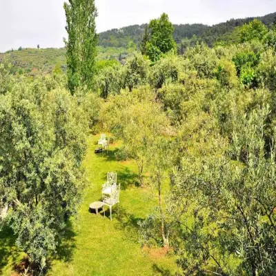 Güllü Konakları