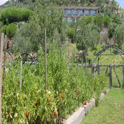 Assos Longevity Hotel