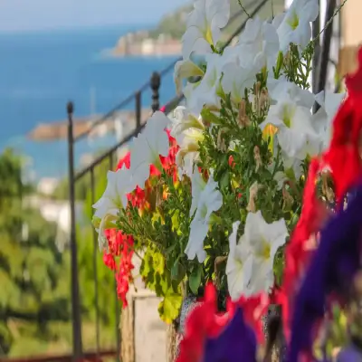 Assos Longevity Hotel