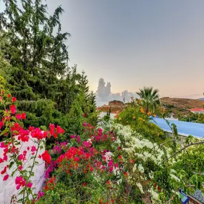 Villa Aşina Otel