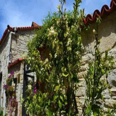 Griffon Hotel