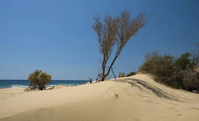 Patara Gezi Rehberi: Patara Antik Kenti, Plajı ve Gezilecek Yerler