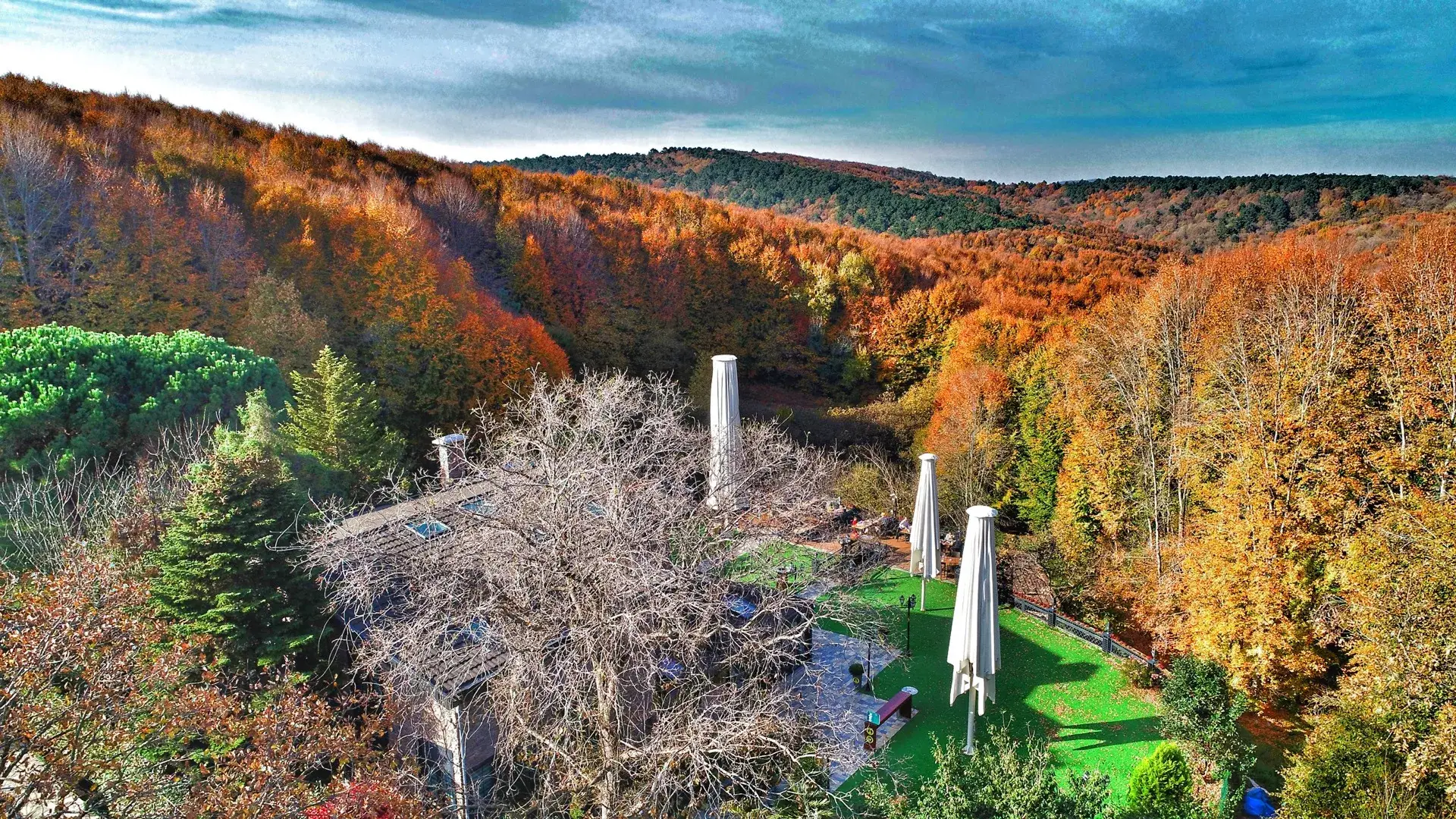 Marmara Bölgesi Orman Otelleri: Doğa İçinde Dağ Evi ve Glamping Önerileri