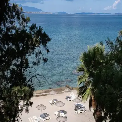 Yaso's By The Sea, Ardıç