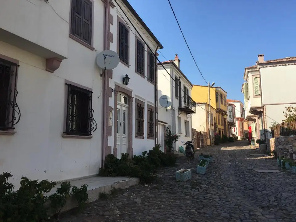 Aydın'dan Ne Alınır?