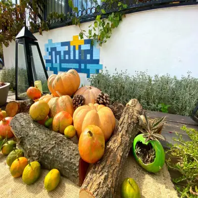 Maya Bistro Hotel Beach