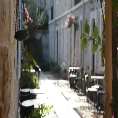 Griffon Hotel