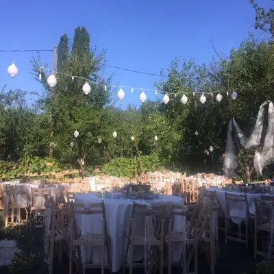 Papuli Köyevi +6
