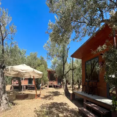 Assos Club Beyaz, +16 - Kadırga Koyu