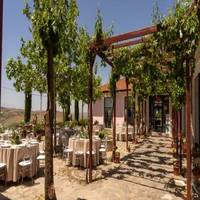 Villa Estet Bağ Oteli