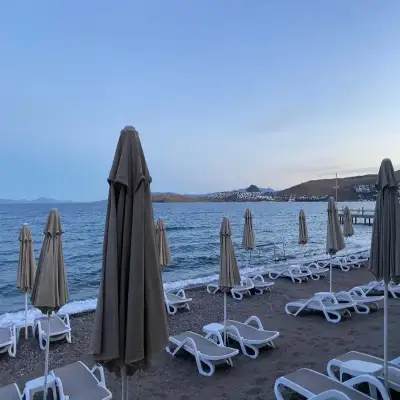 Zest Hotel
