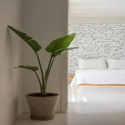Levantes Ios Hotel