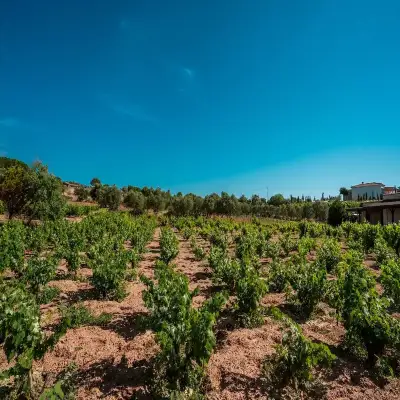 Bağbadem Tatil Evi