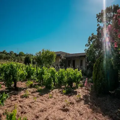 Bağbadem Tatil Evi