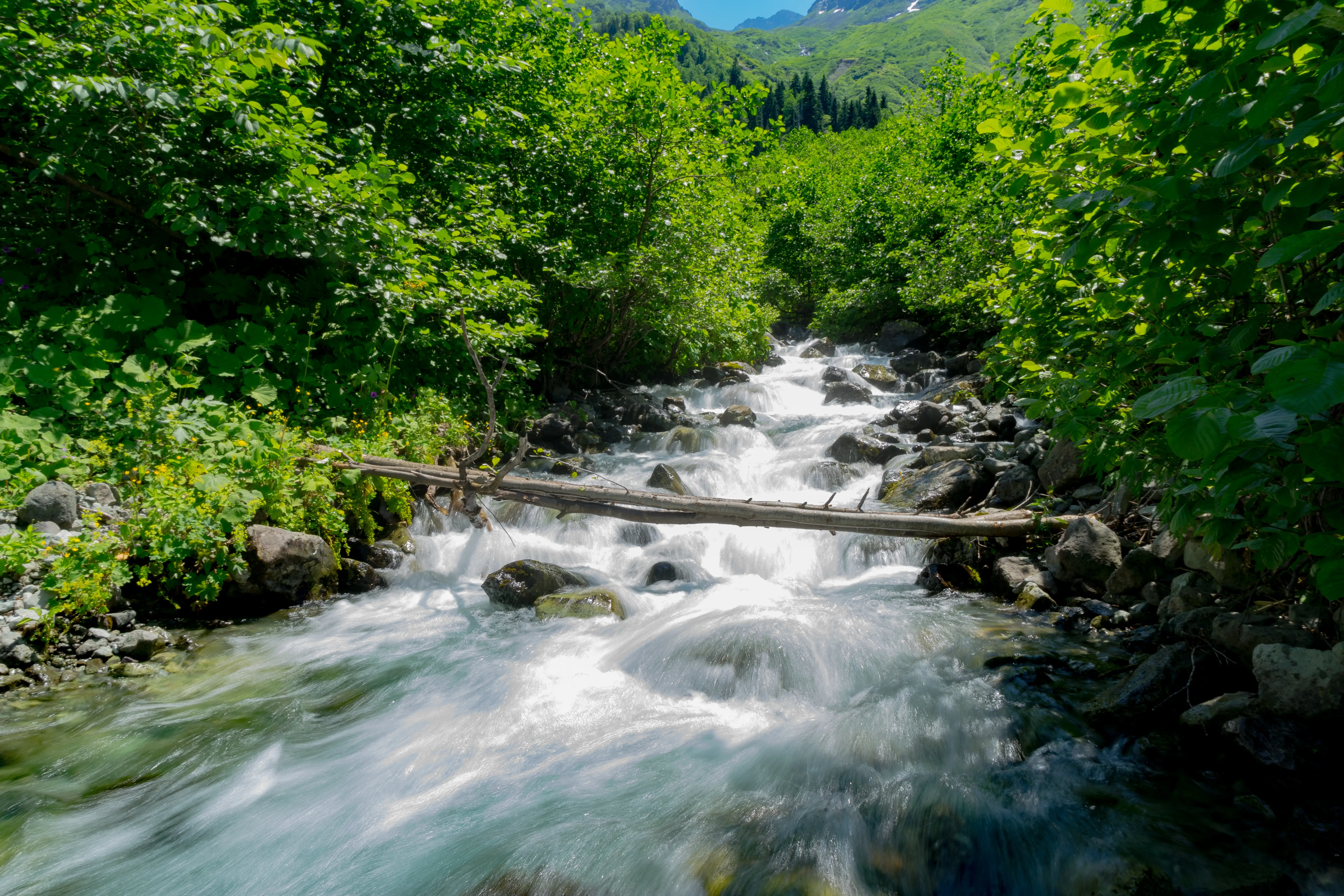 Artvin'de Kalınacak En Güzel Yerler
