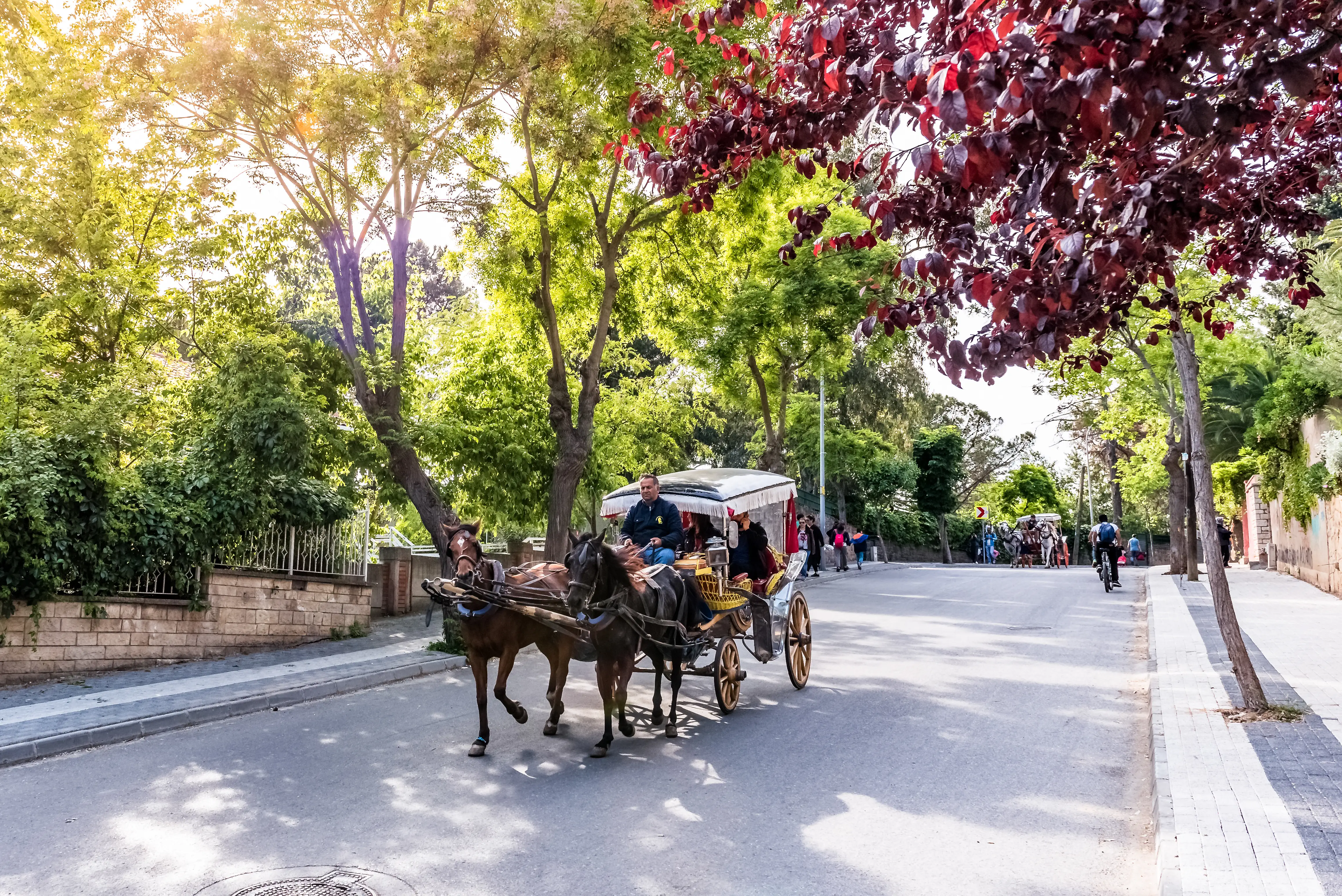 büyükada'da nostaljik fayton gezisi