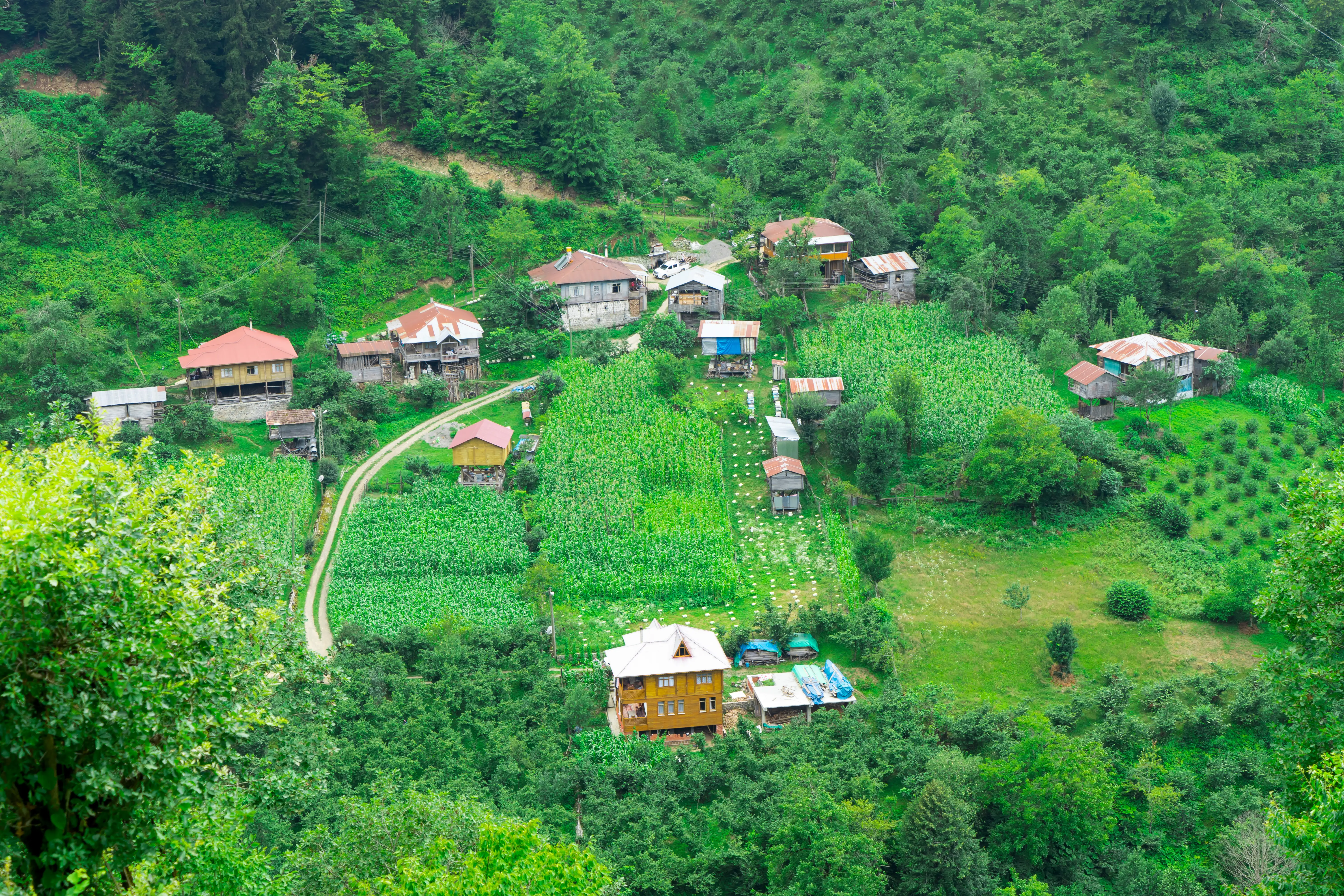 artvin Samsun'a Yakın Muhteşem Hafta Sonu Rotaları