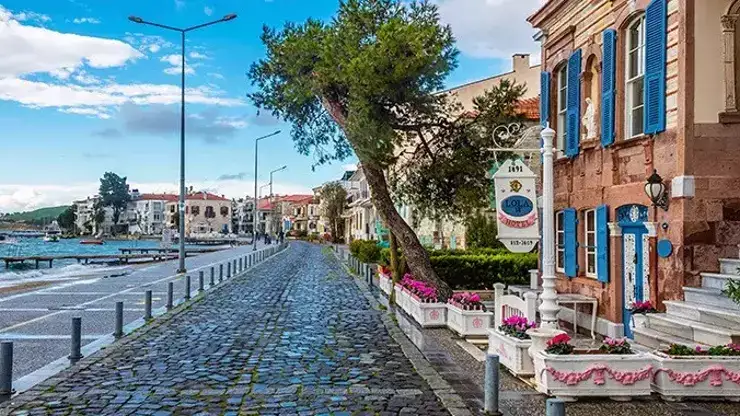 Foça'dan Ne Alınır