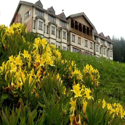 Zifin Hotel
