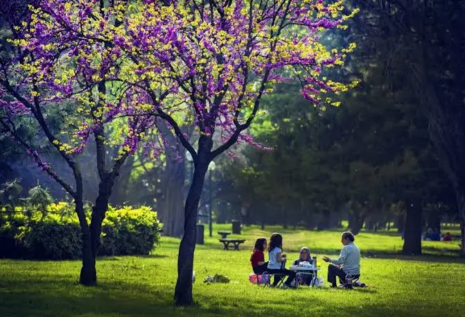 Botanik Parkı