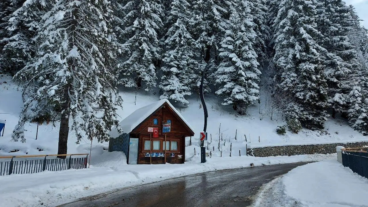 Ayder Yaylası
