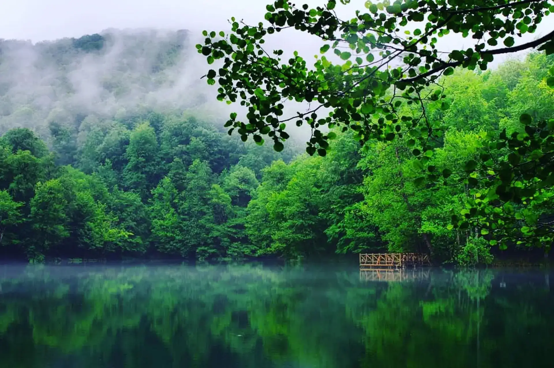 Habitat Mesire Bungalov Evleri Yedig&ouml;ller