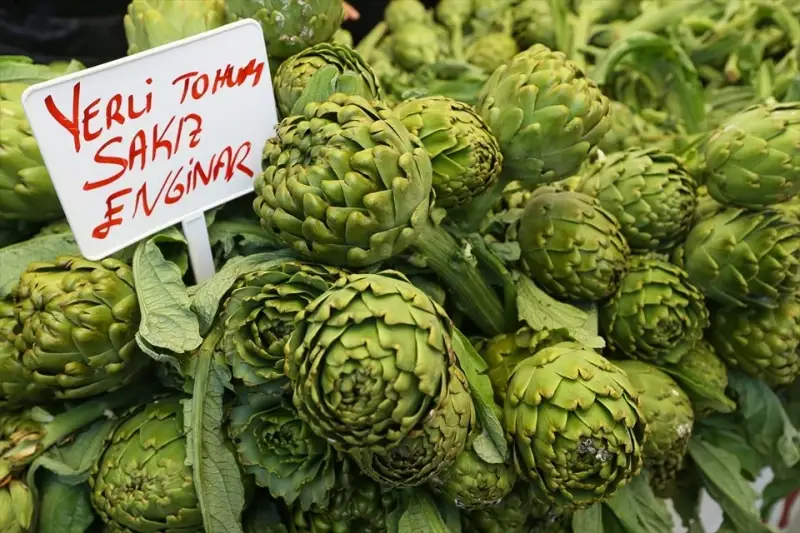 urla enginarı