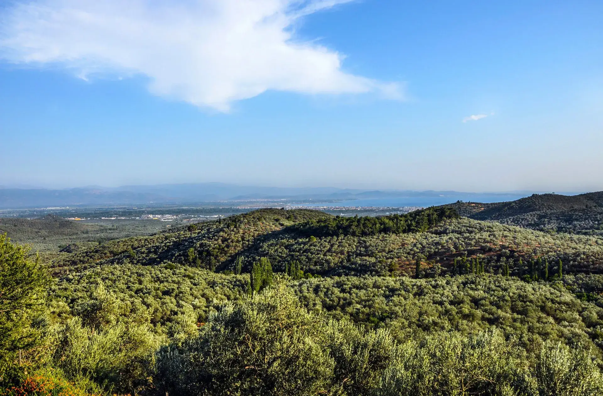 Kazdağları