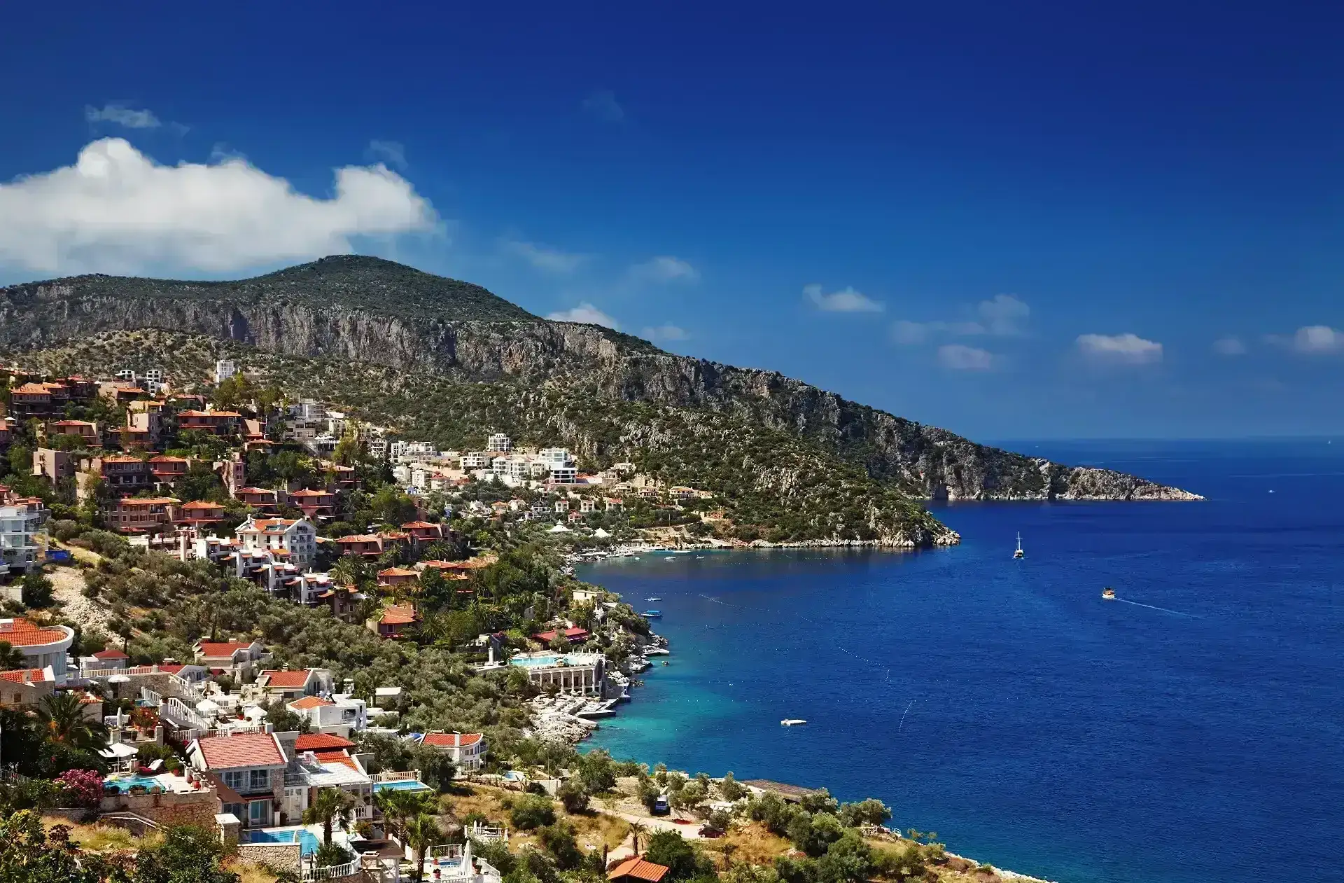 Kalkan Rehberi