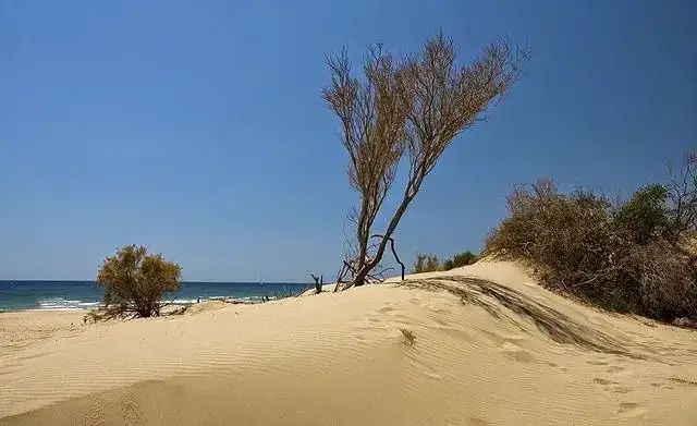 Patara'da Yapılacaklar