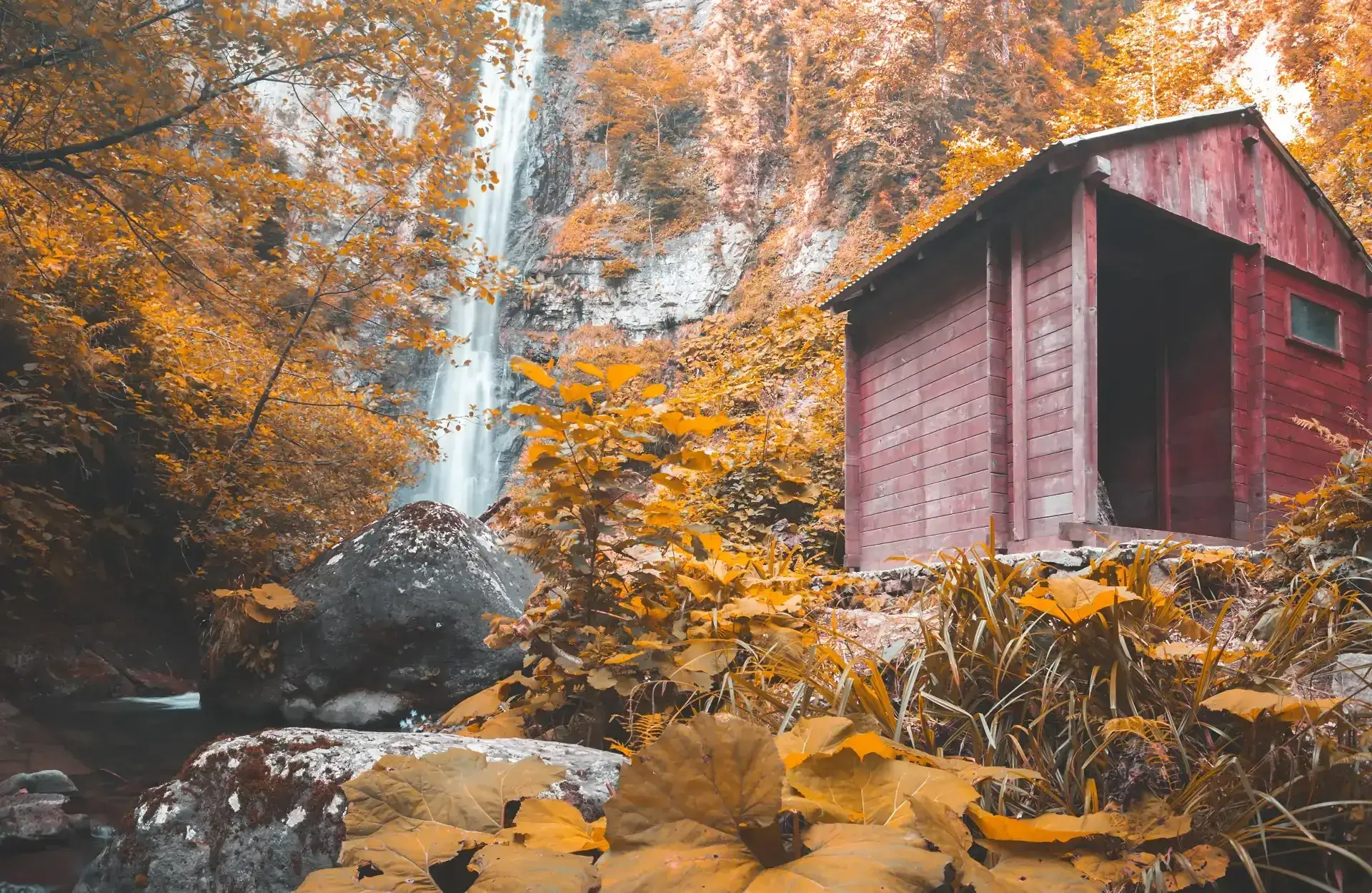 Artvin
