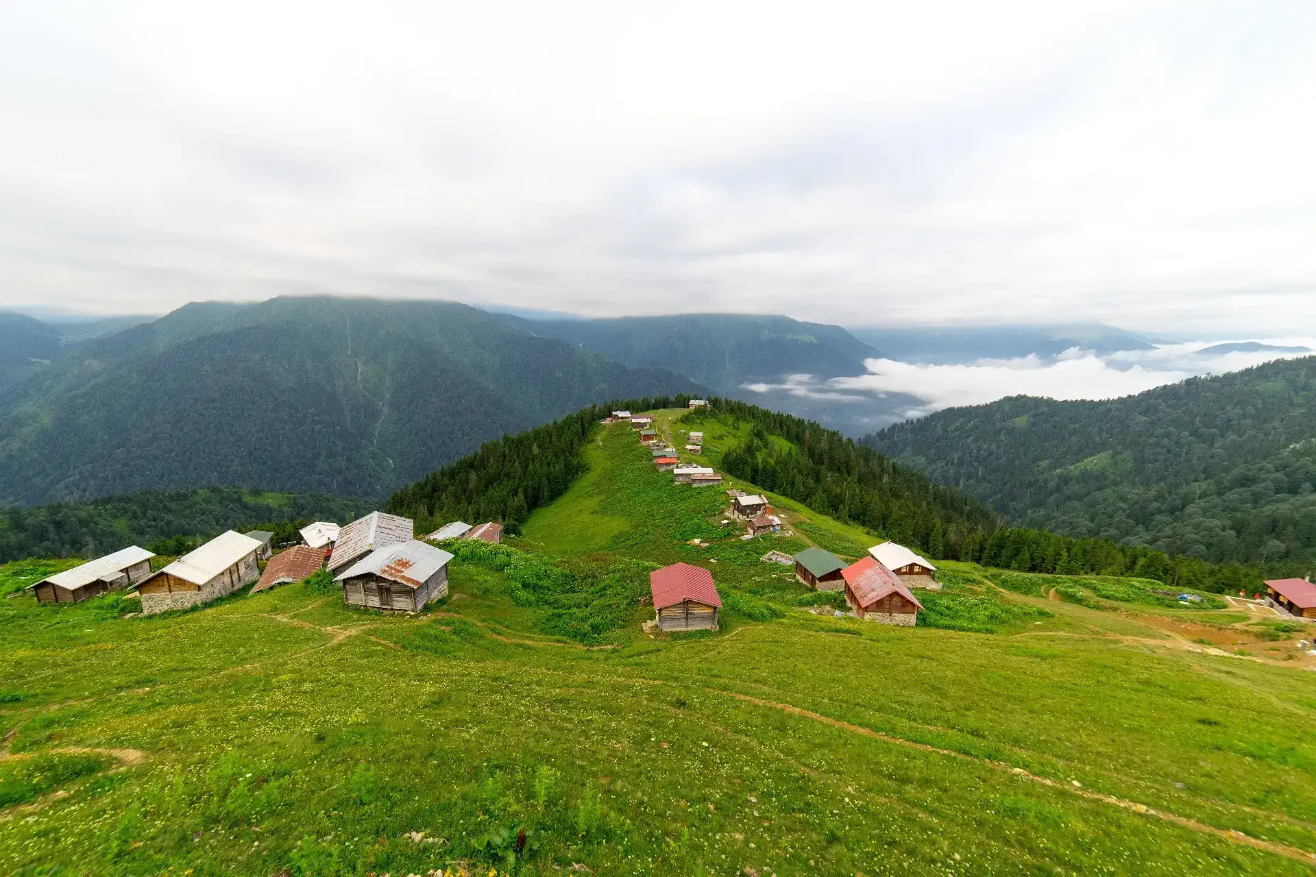 Rize Rehberi