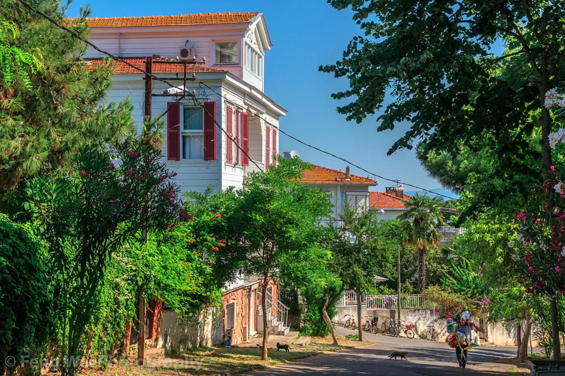 Büyükada Restoran ve Kahvaltı Mekanları