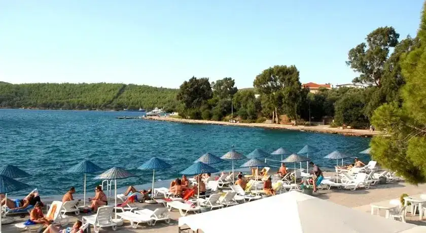 Güvercinlik Ne Yapılır
