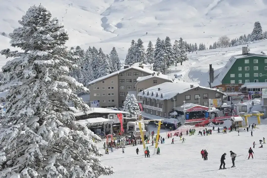 Uludağ Rehberi