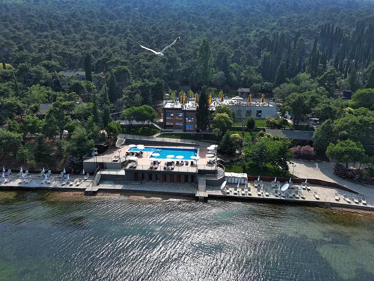 Büyükada Evcil Hayvan Kabul Eden Oteller | Pet Dostu Butik Oteller
